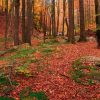 AUTUNNO