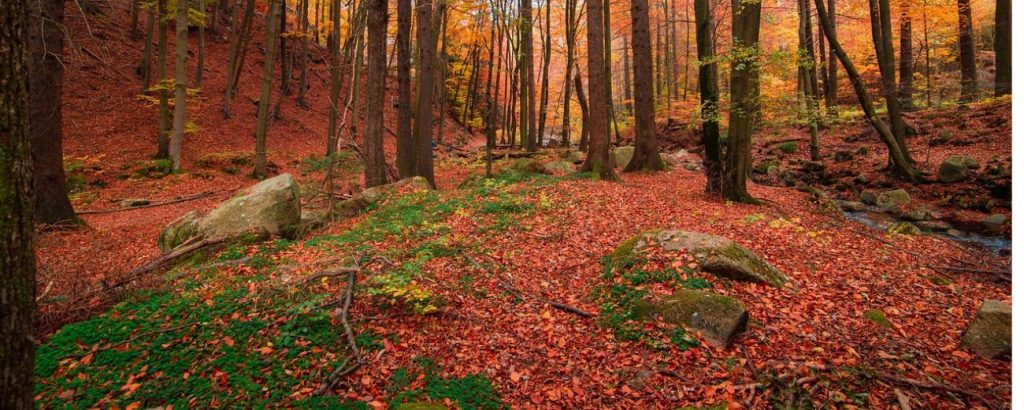 AUTUNNO